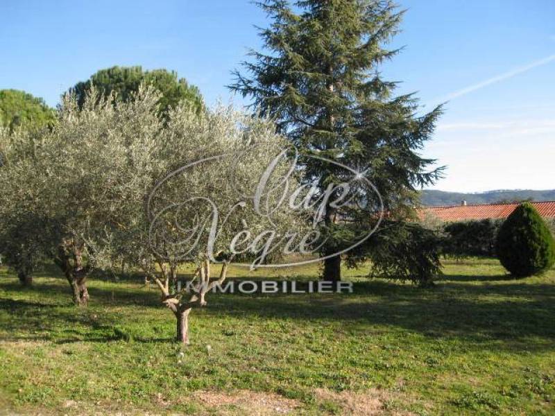 magnifique propriété en Provence Verte terrain d'oliviers et grands espaces Brignoles