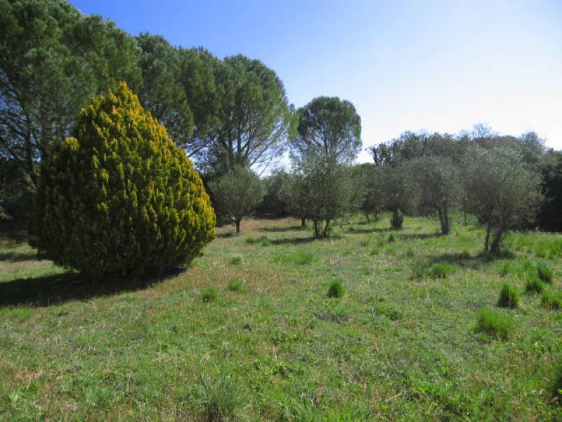 champs d'oliviers et calme absolu pour cette propriété au charme incontestable Brignoles