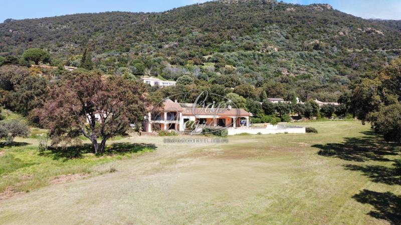 maison avec grand terrain