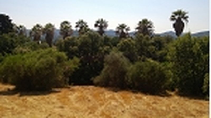 TERRAIN 0 BORMES LES MIMOSAS