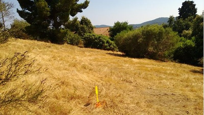 TERRAIN 0 BORMES LES MIMOSAS