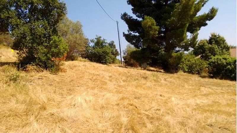 TERRAIN 0 BORMES LES MIMOSAS