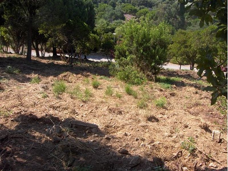 RARE TERRAIN CONSTRUCTIBLE ET PISCINABLE