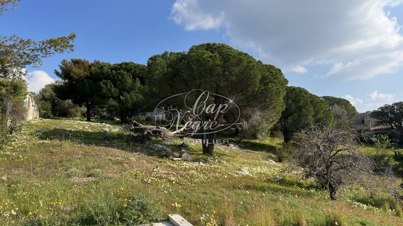 Terrain Bormes Les Mimosas proche du Pin et du Village de Bormes