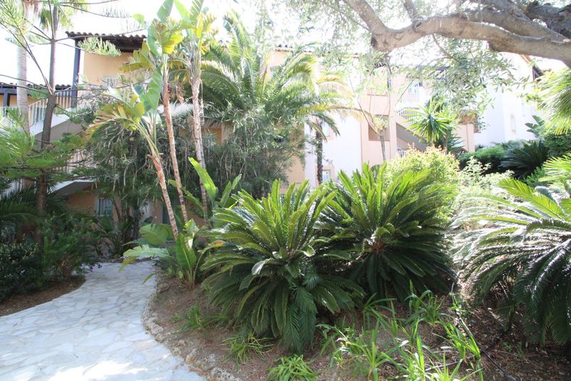 APPARTEMENT PROCHE PLAGE T2 LE LAVANDOU PRAMOUSQUIER PLAGE A PIEDS