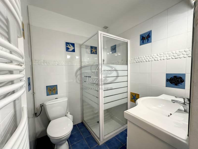 APPARTEMENT ENTIÈREMENT RÉNOVÉ - SAINT CLAIR - RARE