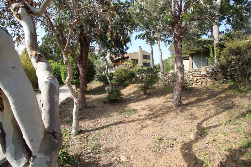 PROPRIÉTÉ SUR 3 NIVEAUX AVEC TERRAIN ARBORÉ - BORMES-LES-MIMOSAS