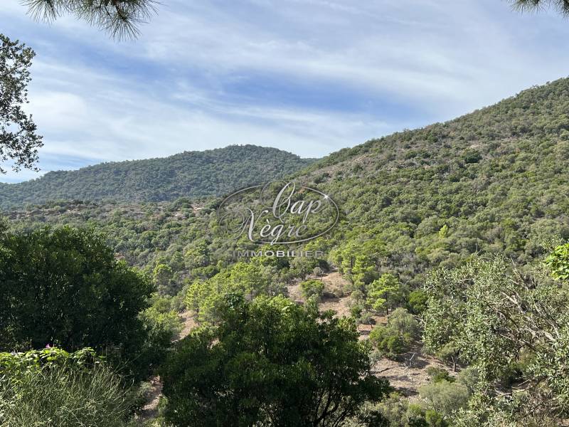 VENTE TERRAIN VUE MER AU RAYOL CANADEL SUR MER