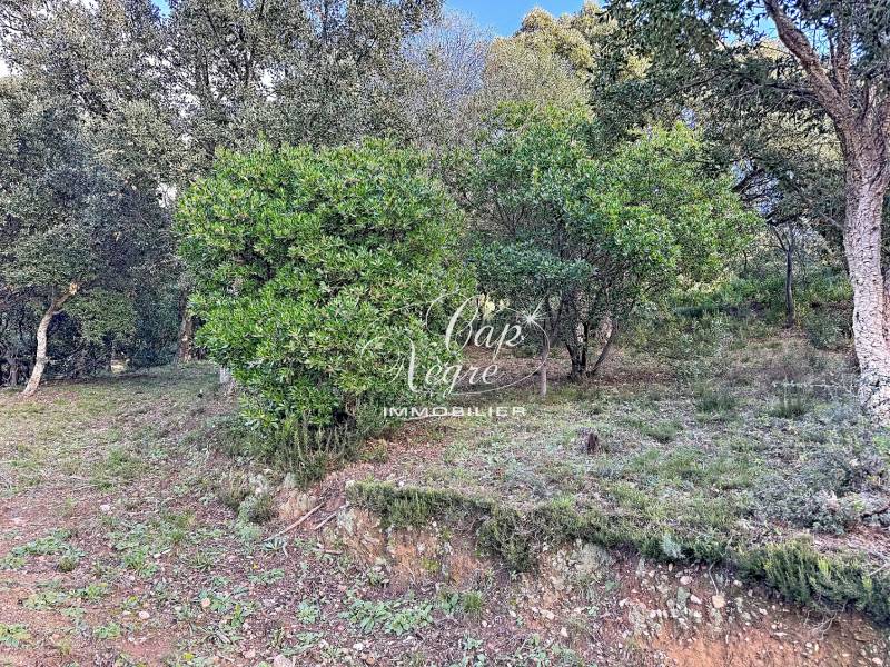 SOUS OFFRE TERRAIN NON CONSTRUCTIBLE A VENDRE A CAVALIERE