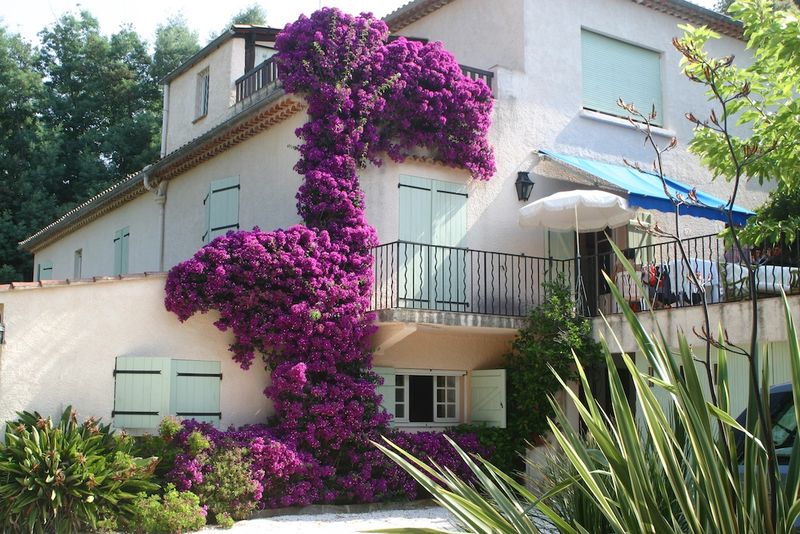 MAISON PLAGE A PIEDS T10 LE RAYOL CANADEL