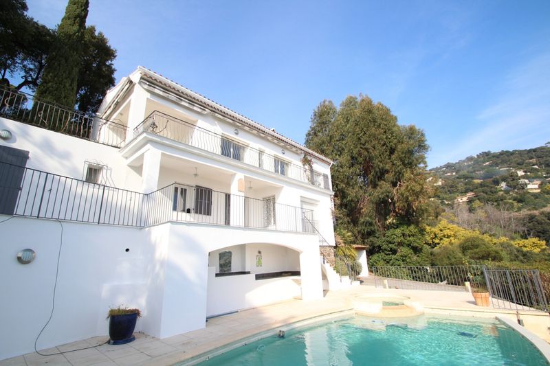 MAISON MODERNE PISCINE ESPACES VERTS