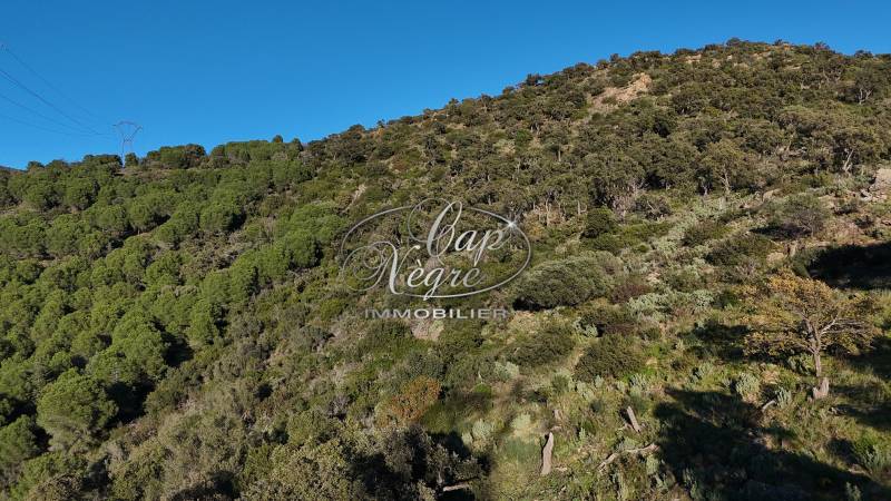 TERRAIN NON CONSTRUCTIBLE A VENDRE - EXCLUSIVITE CAP NEGRE