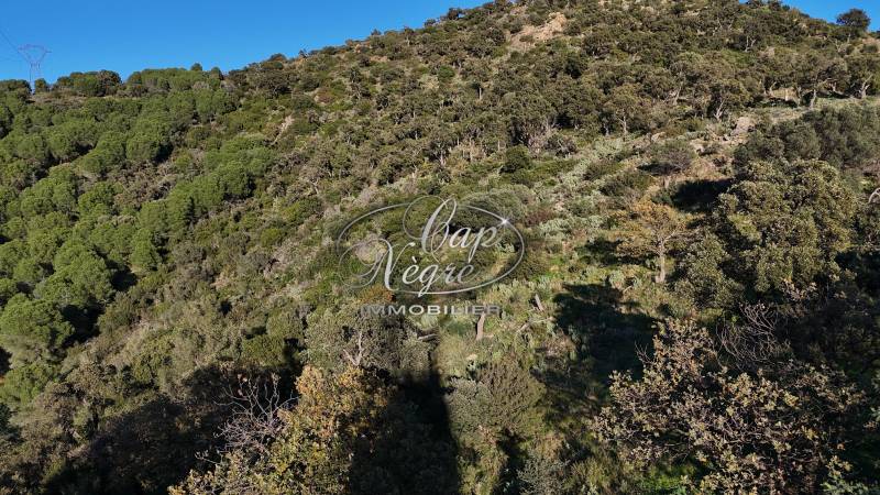 TERRAIN NON CONSTRUCTIBLE A VENDRE - EXCLUSIVITE CAP NEGRE