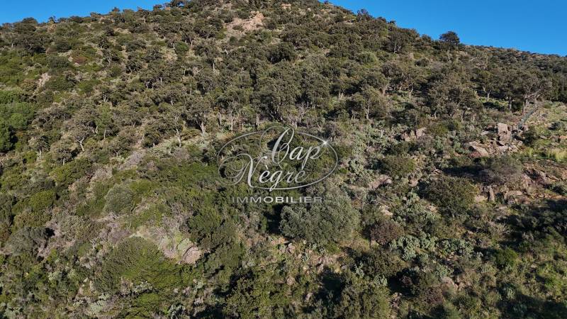 TERRAIN NON CONSTRUCTIBLE A VENDRE - EXCLUSIVITE CAP NEGRE