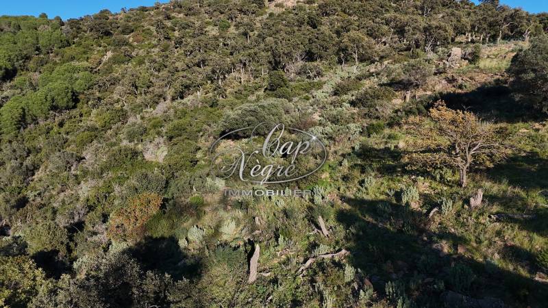 TERRAIN NON CONSTRUCTIBLE A VENDRE - EXCLUSIVITE CAP NEGRE