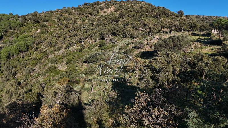 TERRAIN NON CONSTRUCTIBLE A VENDRE - EXCLUSIVITE CAP NEGRE