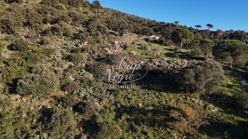 TERRAIN NON CONSTRUCTIBLE A VENDRE - EXCLUSIVITE CAP NEGRE