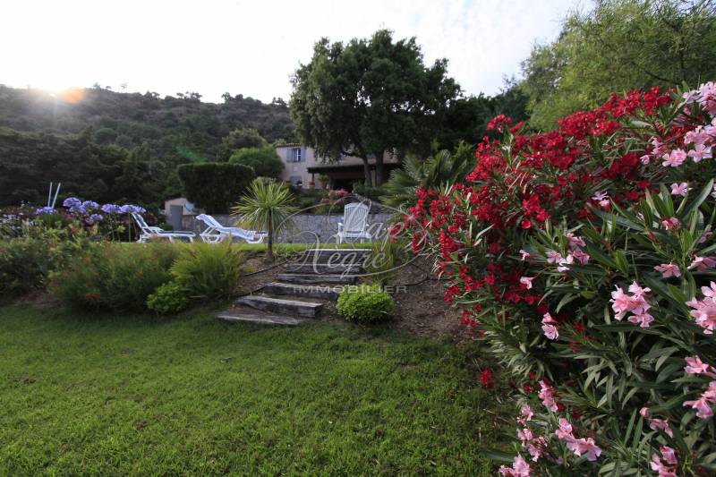 EXCLUSIVITÉ RAYOL CANADEL - A NE PAS RATER!!!