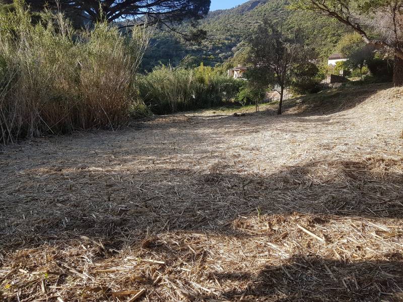 parcelle de terrain non constructible le lavandou saint clair