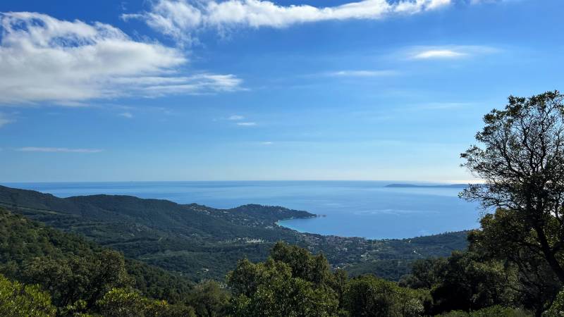 LE CAP NEGRE - CAVALIERE